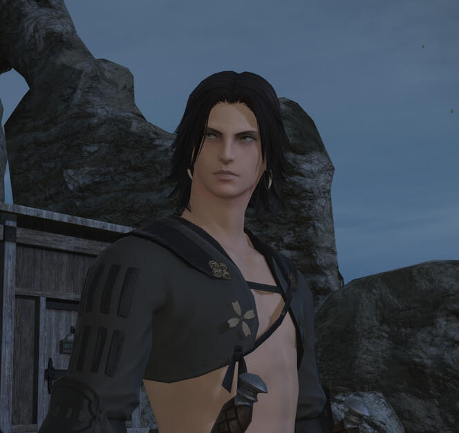 The Comrade Ninja The Comrade Ninja