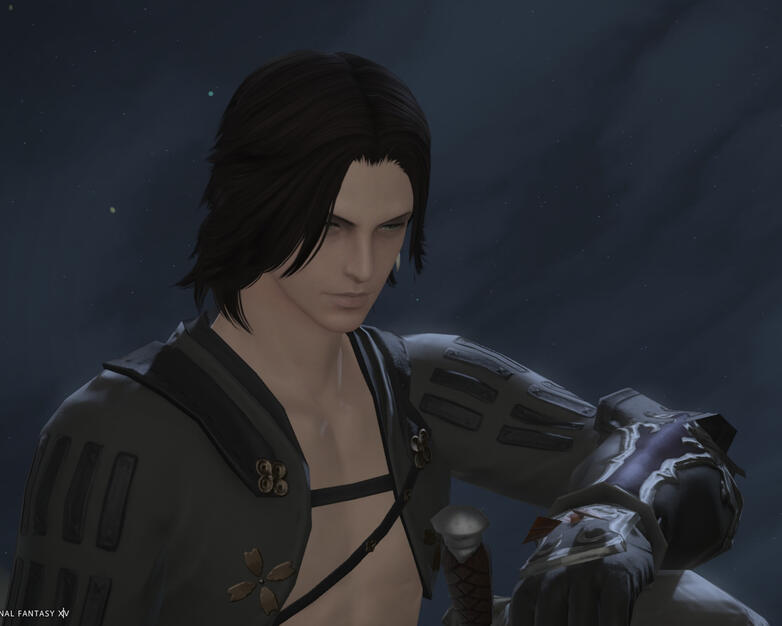 The Watcher Ninja The Watcher Ninja